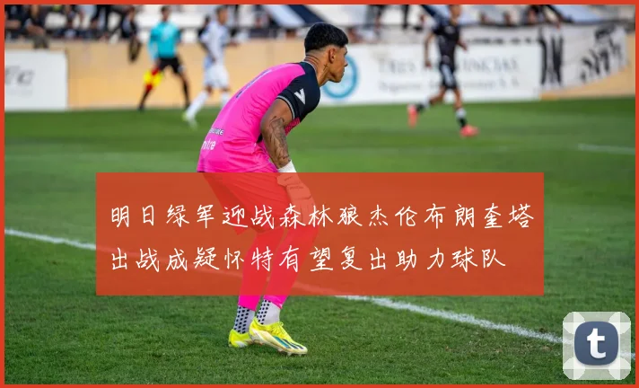 明日绿军迎战森林狼杰伦布朗奎塔出战成疑怀特有望复出助力球队