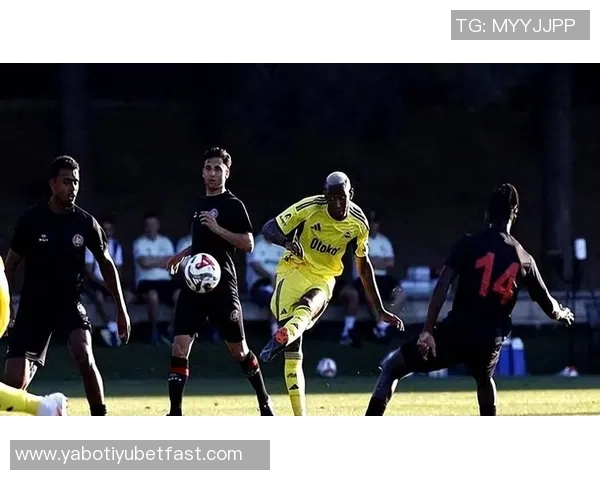 费内巴切决定清洗塔利斯卡500万年薪成负担引发关注