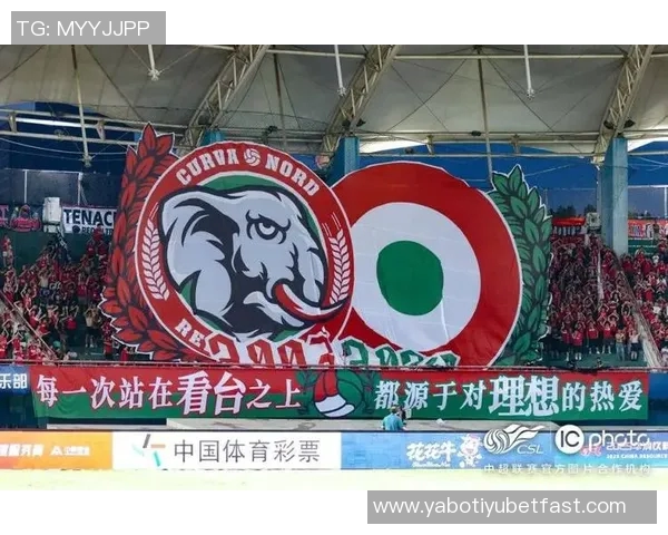 震撼场面拜仁球迷赛前展示TIFO并燃放烟花点燃全场气氛